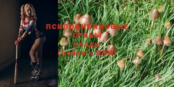 кокаин колумбия Заводоуковск