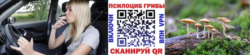 Галлюциногенные грибы мухоморы  наркотики  Сосновый Бор 