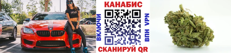 Конопля индика  MEGA как войти  Сосновый Бор 